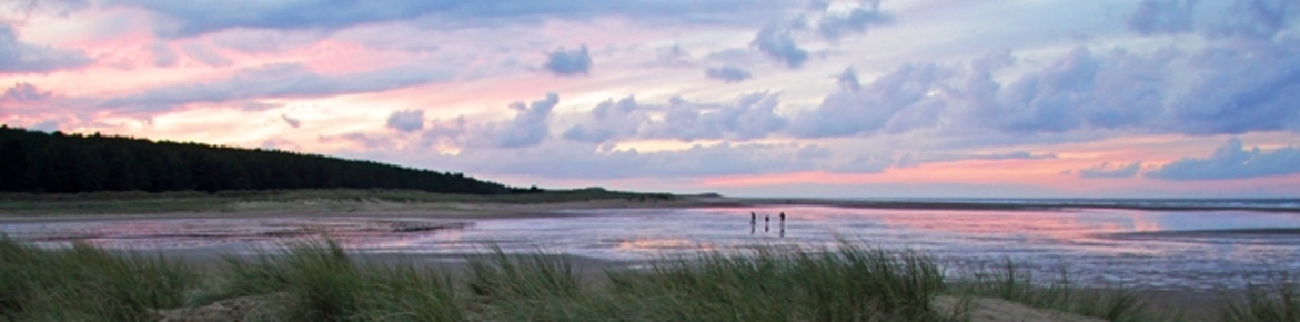 Aboutkate-banner-1